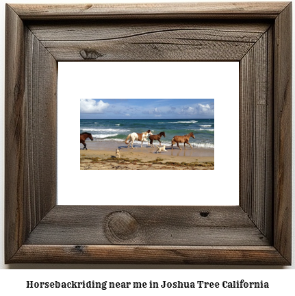 horseback riding near me in Joshua Tree, California